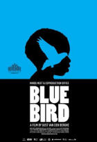 blue_bird